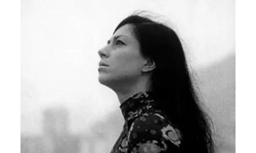 BURÇAK TARLASI / TÜLAY GERMAN (2001)